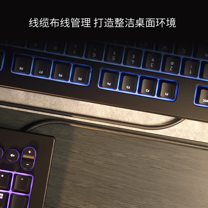 雷蛇 Razer 萨诺狼蛛V2  电竞 RGB游戏键盘 英雄lol 绝地求生 吃鸡神器