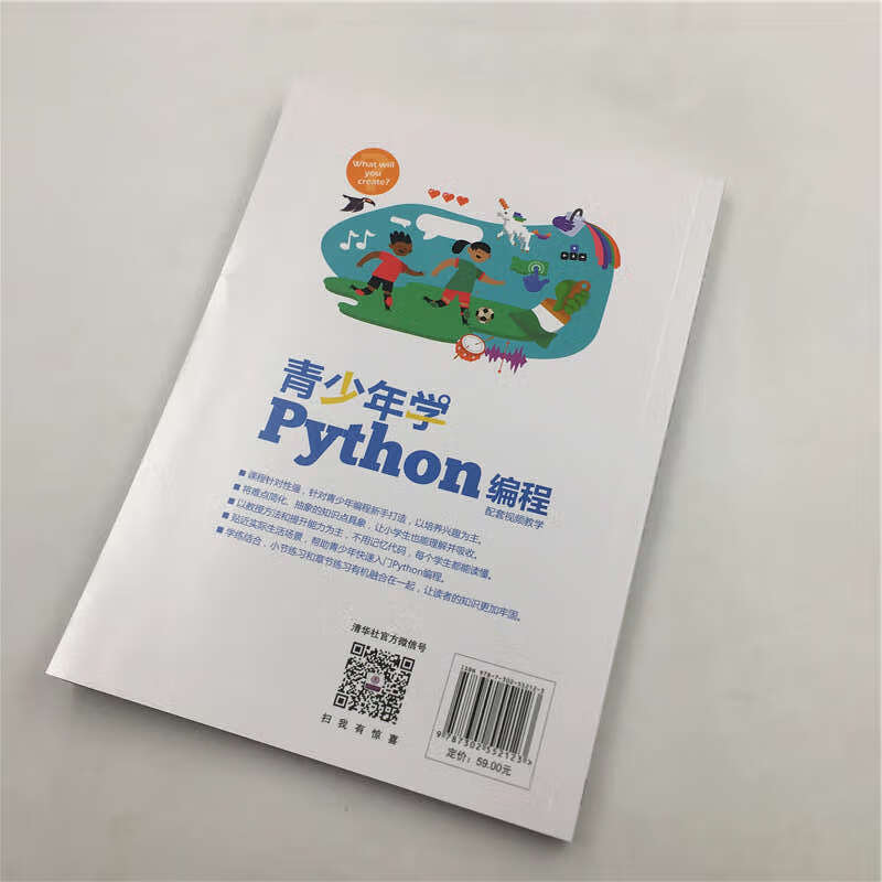 青少年学Python编程（配套视频教学）详情图