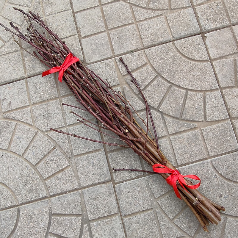 野生桃木树枝老桃木桃枝婴儿孕妇宝宝惊吓啼哭护身桃树枝挂件野生 2根