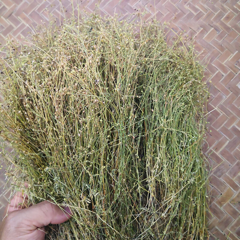 新货四合莲干货潮汕草药四叶莲四合梅天良草新晒中草药500克