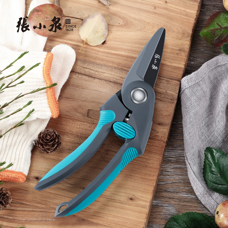 张小泉 整枝剪 枝果修枝剪刀园艺修剪树枝园林花艺师剪花专用剪刀 春