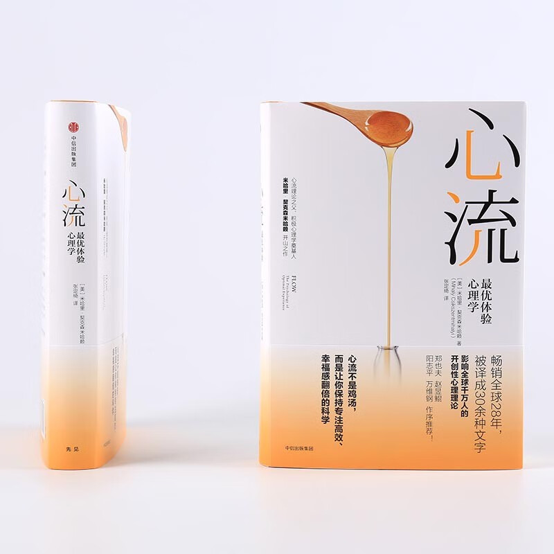 【罗振宇推荐】心流 最优体验心理学 心流理论之父 米哈里契克森米哈赖著 中信出版社