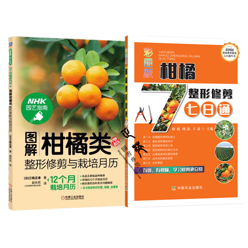 2本图解柑橘类整形修剪与栽培月历+彩图版柑橘整形修剪七日通 柑橘脐橙柚子种植技术 桔子橙子果树栽培技