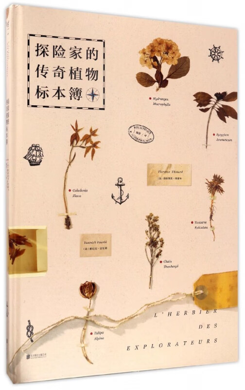探险家的传奇植物标本簿(精)