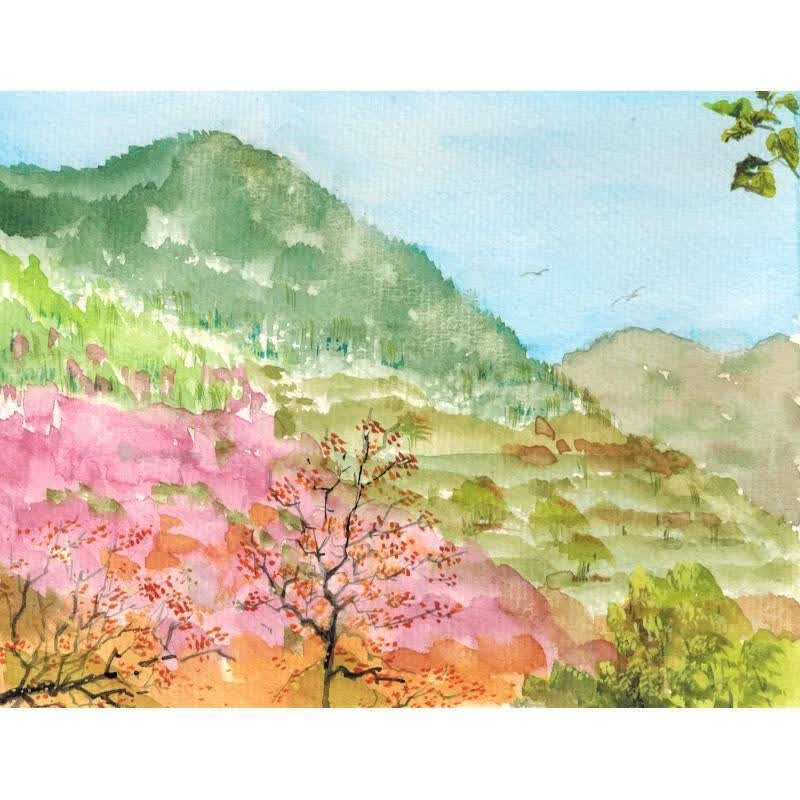 柿曲 一枚果实的时刻