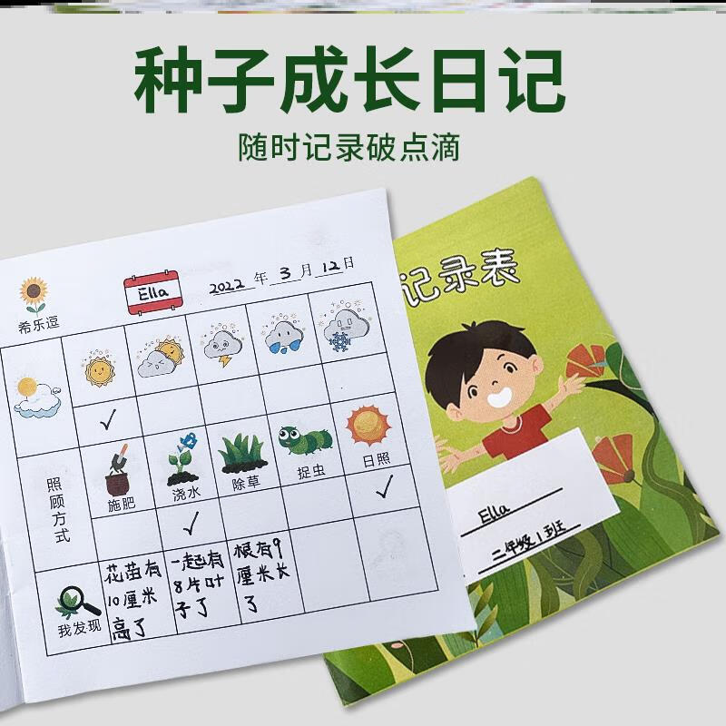 植树节植物观察记录本幼儿园自然角种植生长日记表档案卡日常笔记 两