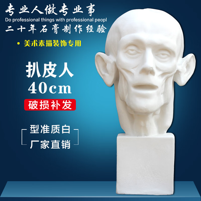 美术用品写生教具石膏像头像解剖扒皮人外星人素描套装静物艺考