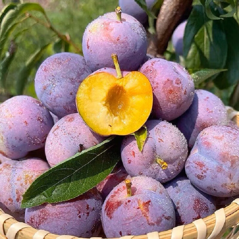 京东新品首发 2023-06-22 - 第22张  | 最新购物优惠券