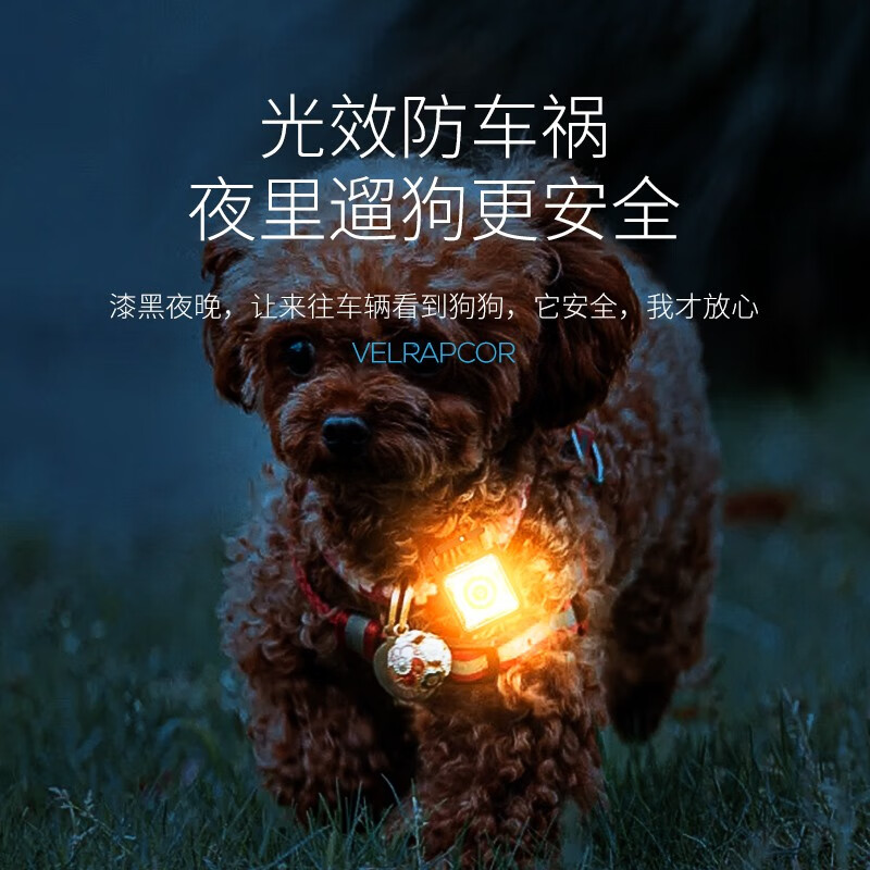 微笑鲨夜光遛狗灯狗狗防走丢失车祸宠物神器充电led闪光夜间安全信号灯 5档光源【续航4-8H 高弹头带 】