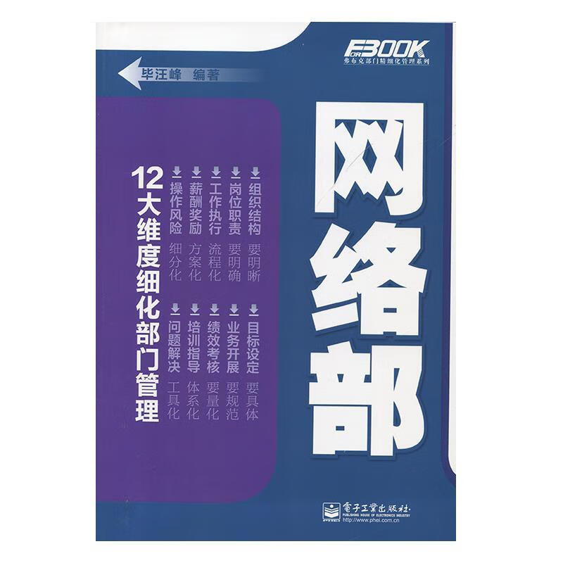 网络部 毕汪峰【正版】