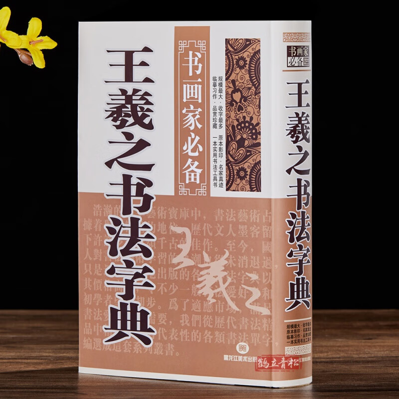 王羲之书法字典 书画家备 楷行草书毛笔书法字典工具书 智永真草千字