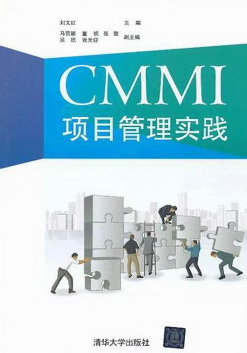 CMMI项目管理实践管理软件工程 图书