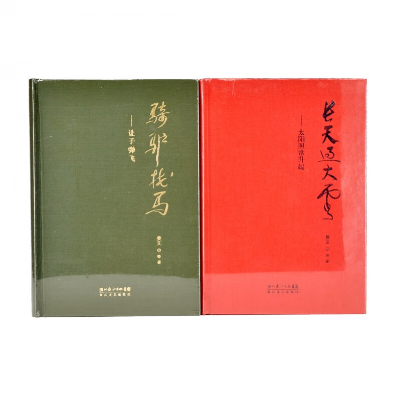 有货 全新 骑驴找马-让飞+长天过大云-