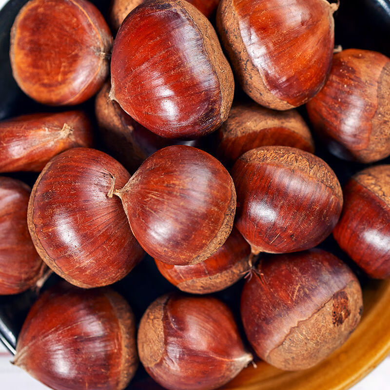 囧仙子丹东新鲜板栗生板栗油栗子锥栗板栗菜带壳板栗甜糯 板栗5斤中果