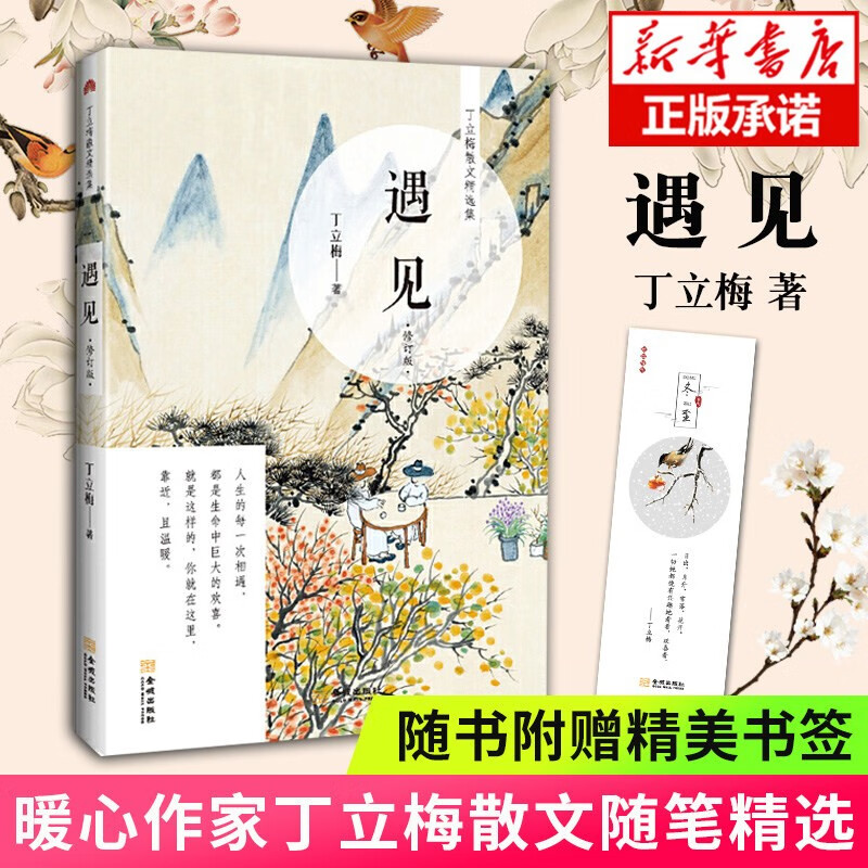 丁立梅经典作品全套 散文精选全集系列 可选 遇见(修订版)