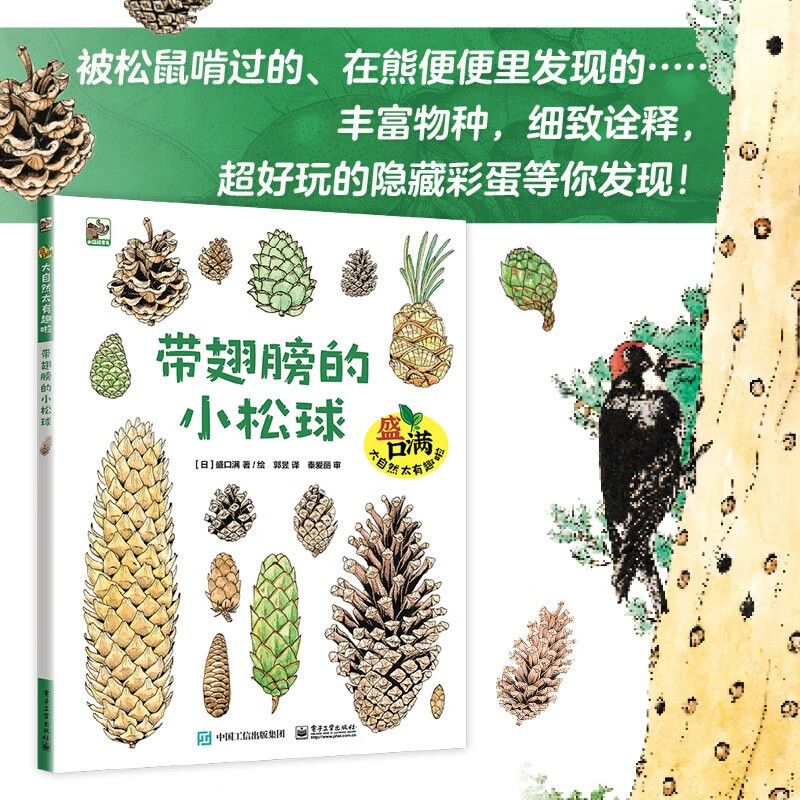 盛口满：大自然太有趣啦自然科普绘本4-8岁小猛犸童书(精装4册)详情图