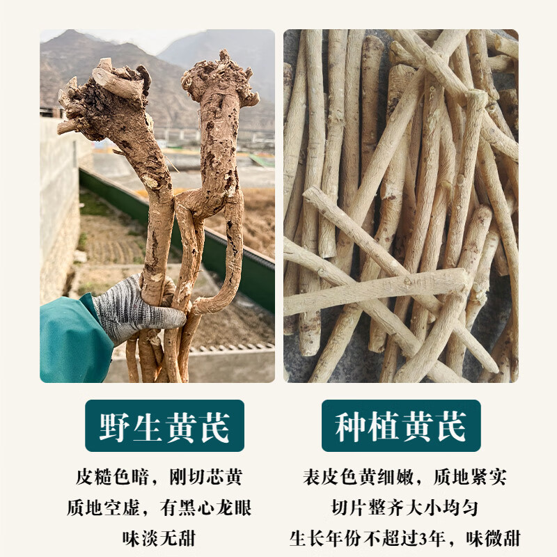 唯昱记 甘肃野生黄芪 500g【整根】黄氏正宗北芪条泡水煲汤泡酒中药材 20年野芪【整根发货】 250g*1袋