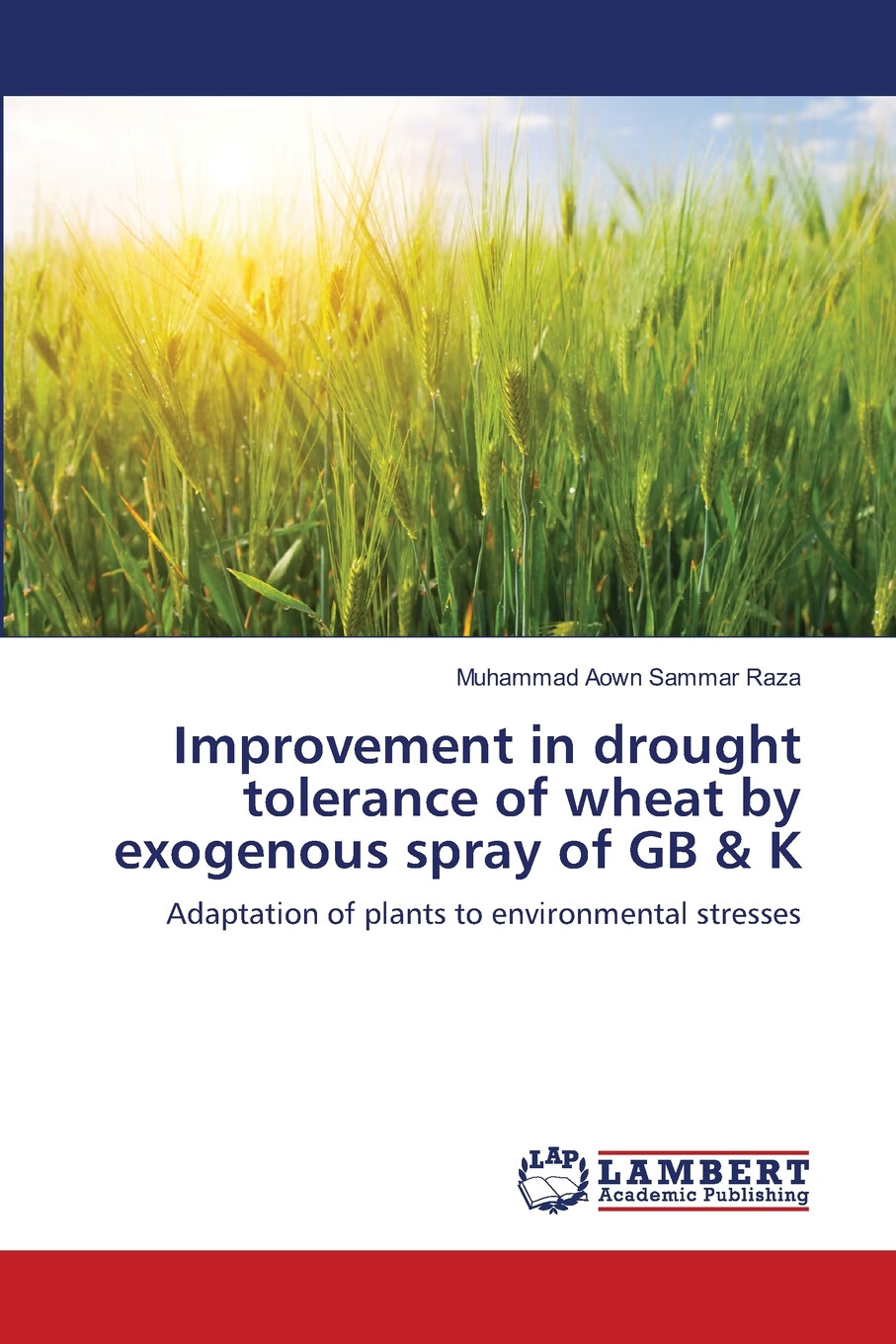 【预售 按需印刷】improvement in drought tolerance of wheat by