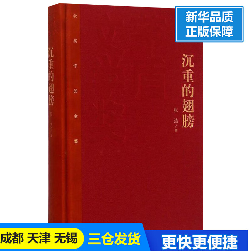 沉重的翅膀