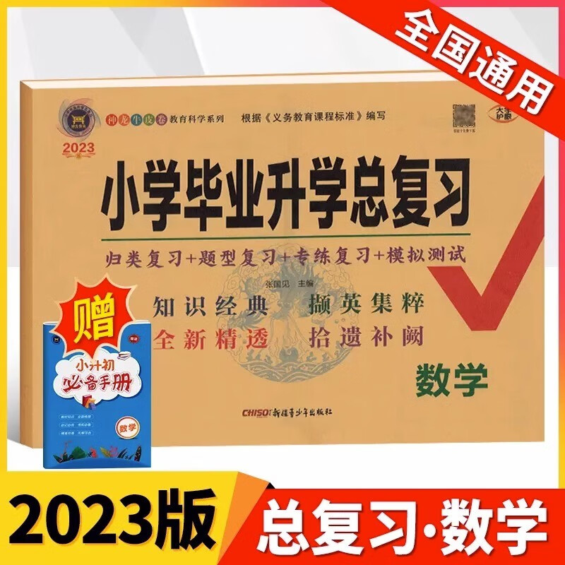 2023新小学升学总复习数学 小升初模拟冲刺重点专项突破复习辅导资料数学试卷小升初全新精透