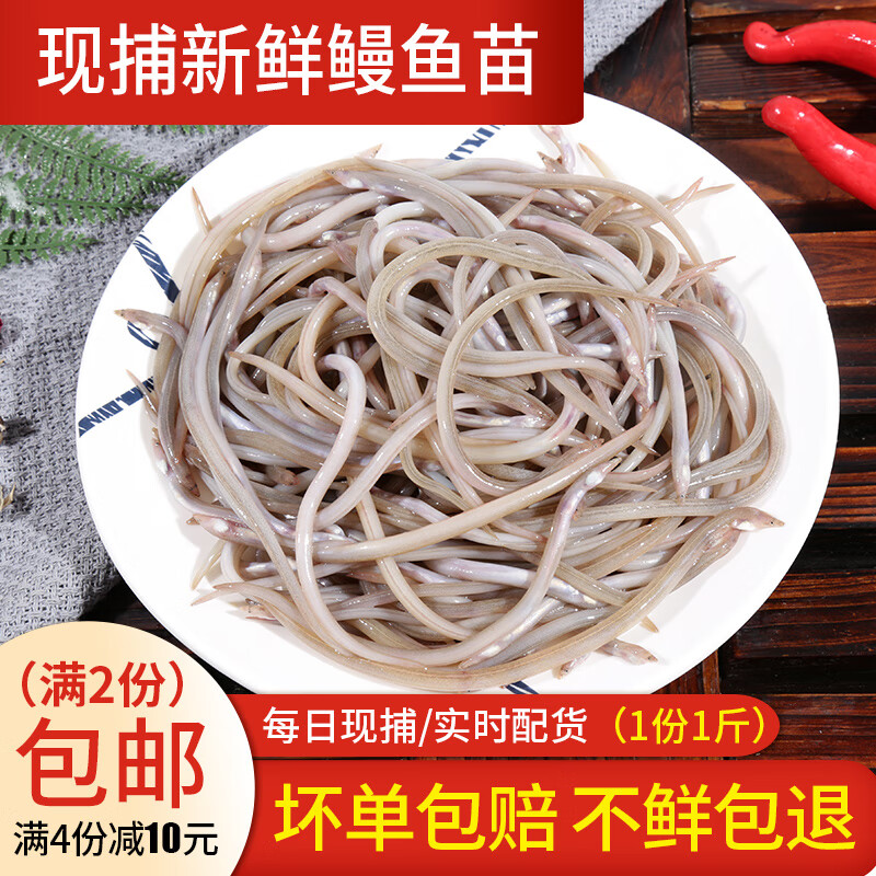 每日现捕新鲜海鲜水产软骨鳗鱼苗小鳗仔油鳗鱼500g鲜木
