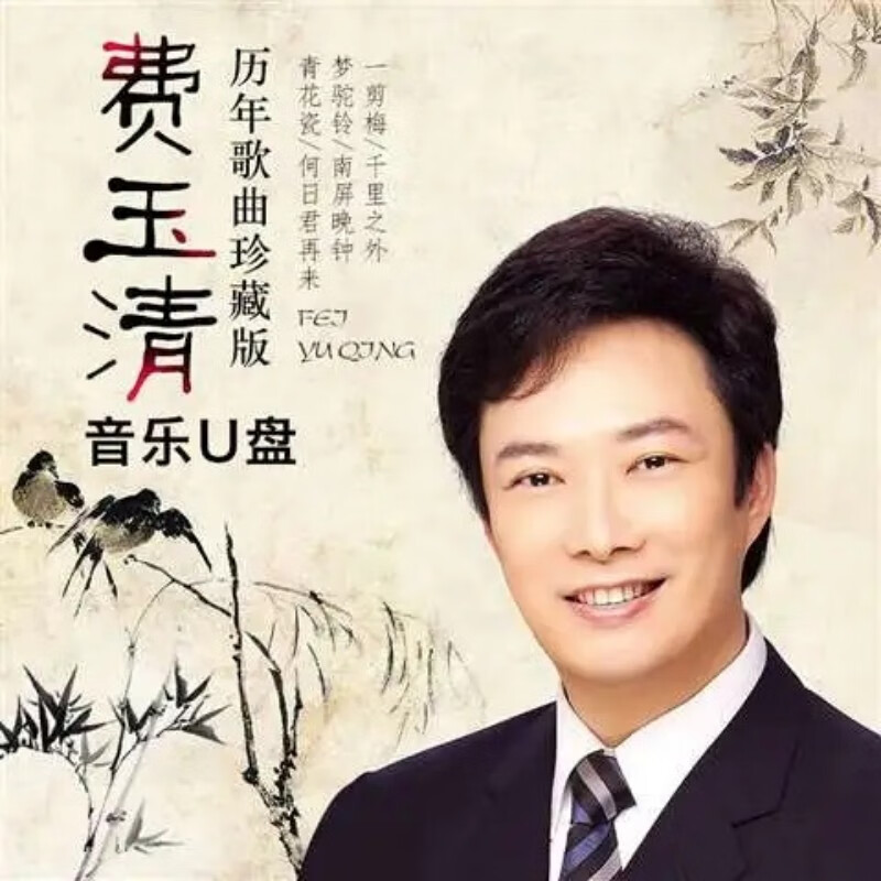 纽曼(newsmy)费玉清歌曲u盘一剪梅 千里之外 青花瓷 囚鸟经典歌曲音频
