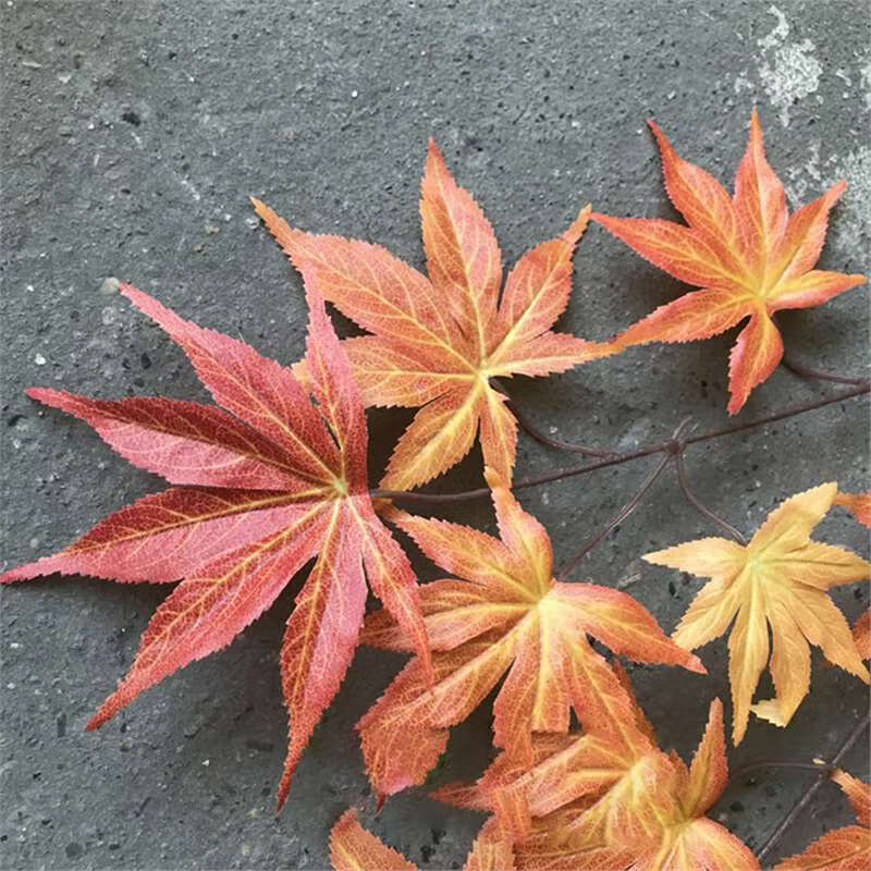 仿真红枫叶假秋季装饰树叶彩色枫叶绢布装饰叶子树枝植物树定制 桔色