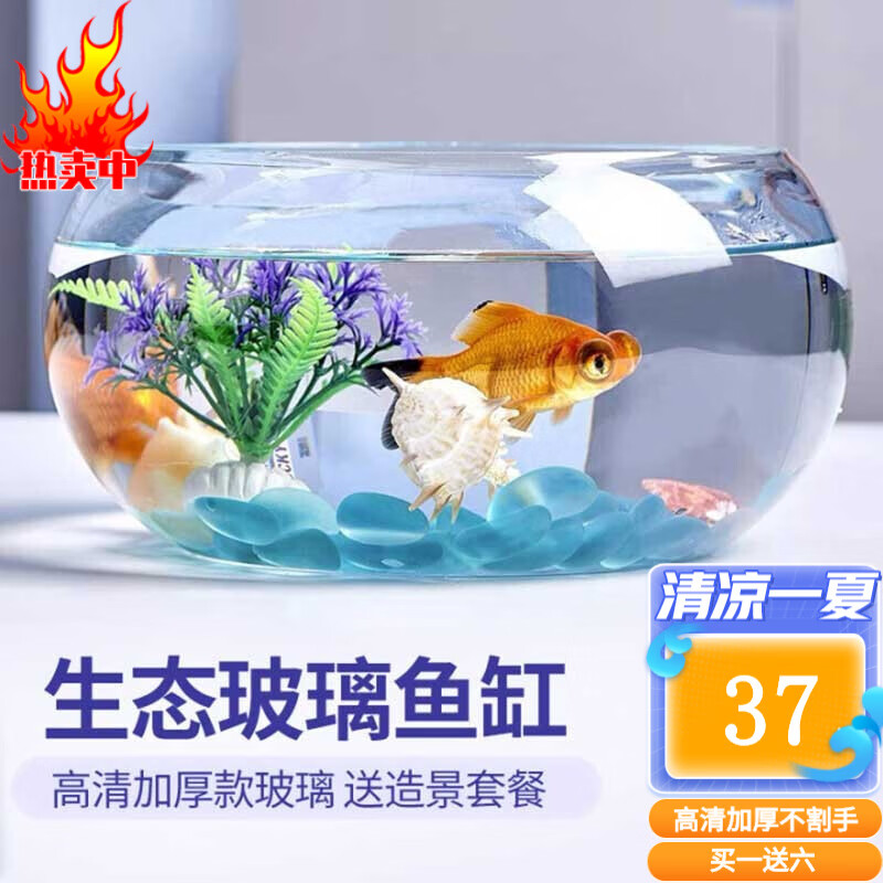 良心评测说说智汇CW10-75桌面鱼缸做工如何？老司机吐槽大合集