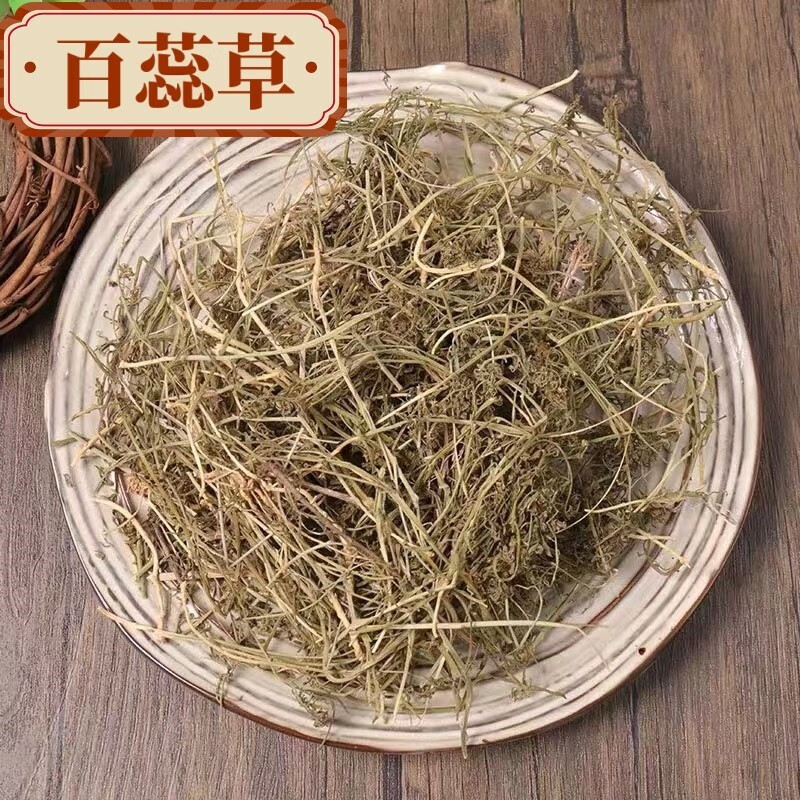 百蕊草中药材百乳草 小草 细须草 青龙草地石榴草檀