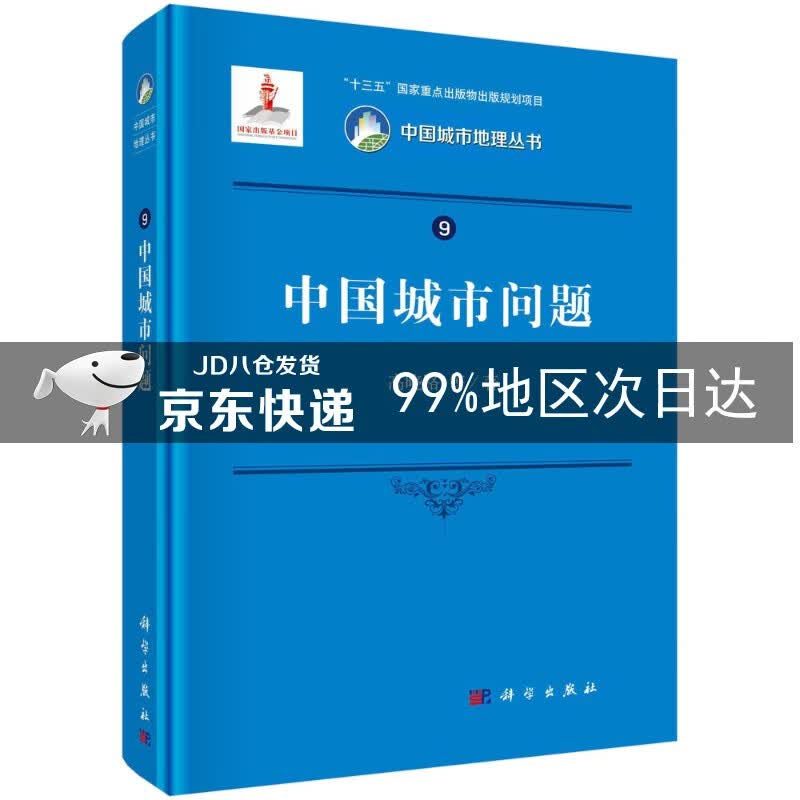 中国城市问题