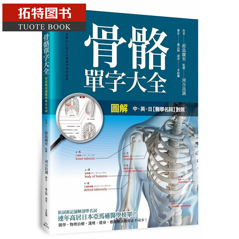 现货 台版 图解：骨骼单字大全 枫书坊