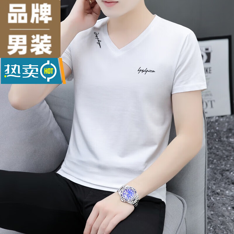 啄木鸟夏季纯棉v领短袖t恤男修身鸡心领男装半袖常规简约冰丝上衣