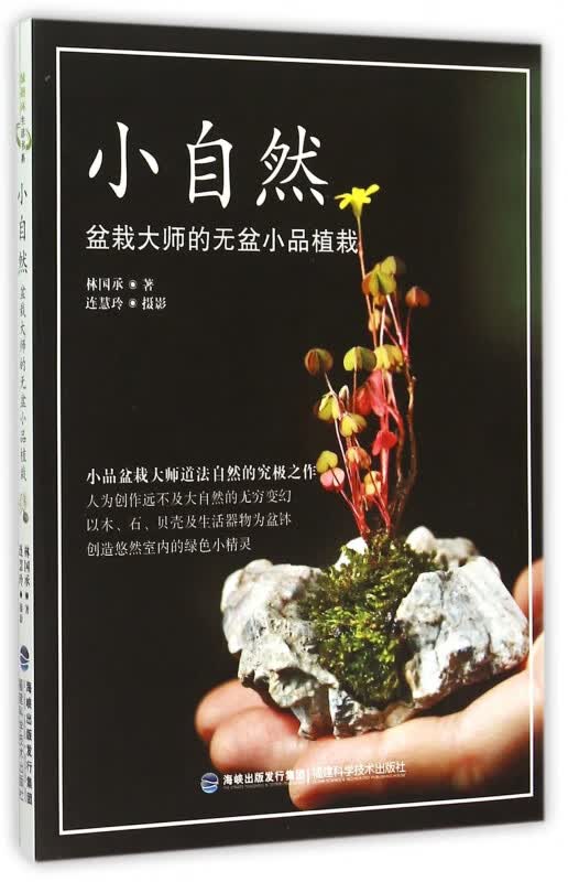 小自然(盆栽大师的无盆小品植栽)