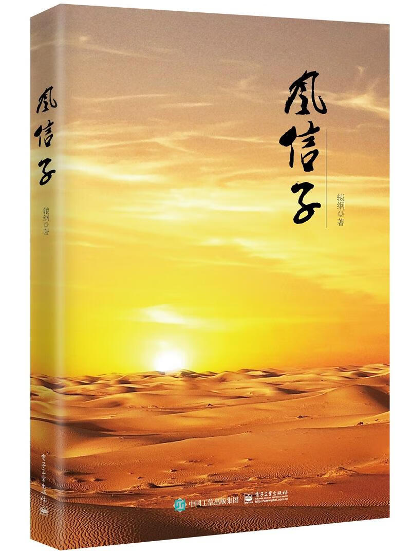 风信子 小说 辕纲 电子工业出版社