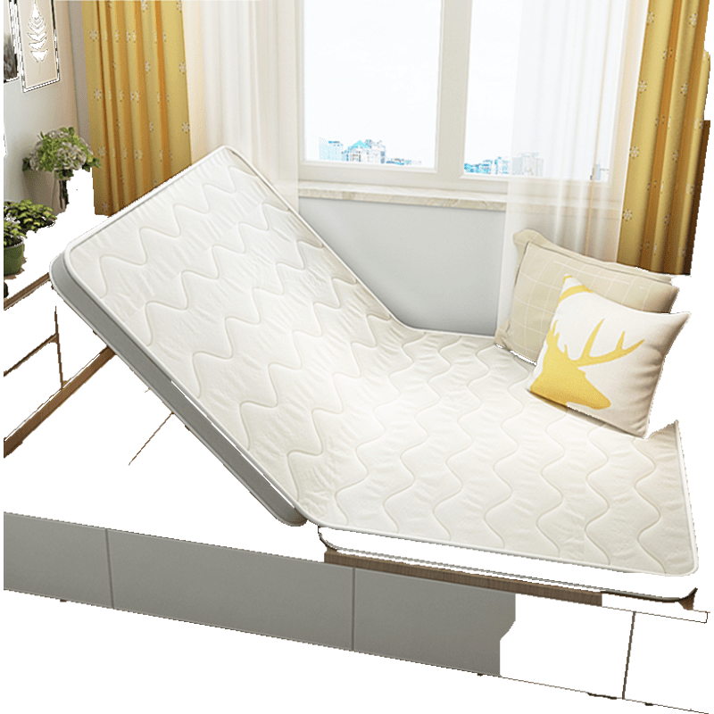 能见度 榻榻米床垫子卧室踏踏米地炕垫椰棕家用塌塌米折叠塔塔米飘窗定做 !定制专拍!厚(有机棉+3E椰棕)/㎡