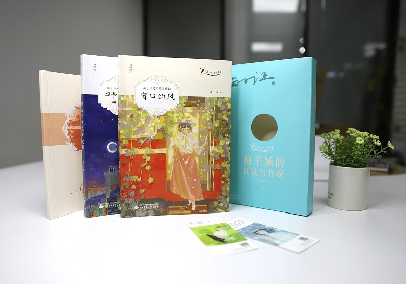 大作家的文学小课：梅子涵的阅读写作课（套装全2册）（神秘岛）详情图