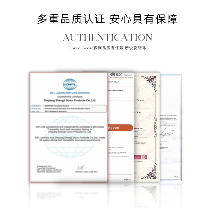ThreeGeese羽绒被95白鸭绒被美国进口防绒加厚冬季双人被子被芯春秋四季被 白色冬被 220x240cm