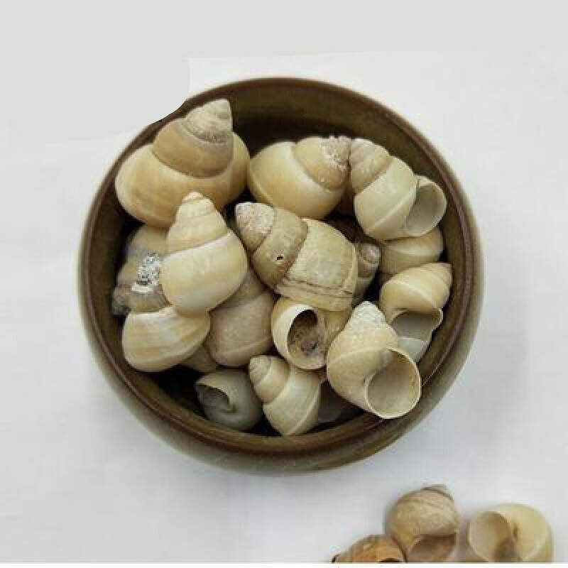 【志医世家】药食滋补 白螺蛳壳 田螺壳无硫熏无添加 散装 500克 500g