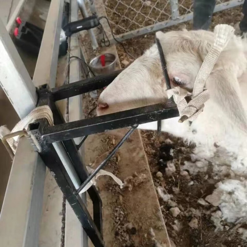 凡奥升降羊头固定架绑羊架绑羊神器羊头控制器剪羊毛架 普通加厚不带