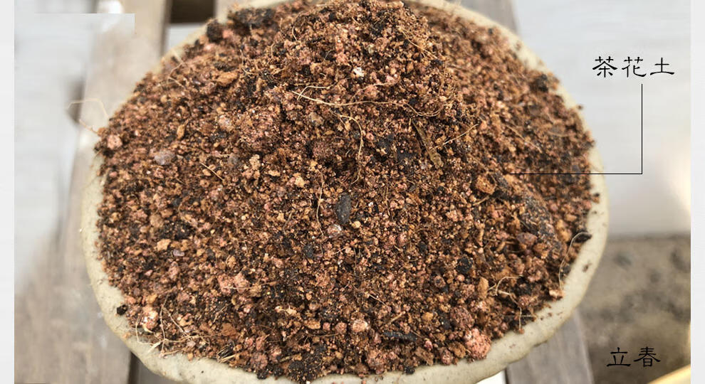 赤凰茶花专用土弱酸性营养土绿植沙质红土壤盆栽山茶花黄土有机土肥料 2.6kg