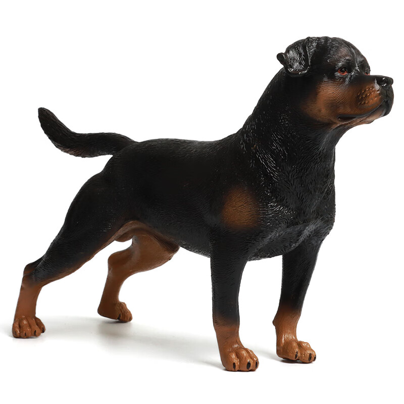 仿真动物玩具野生动物模型大号猩猩孔雀猫头鹰儿童生日礼物 罗威纳犬