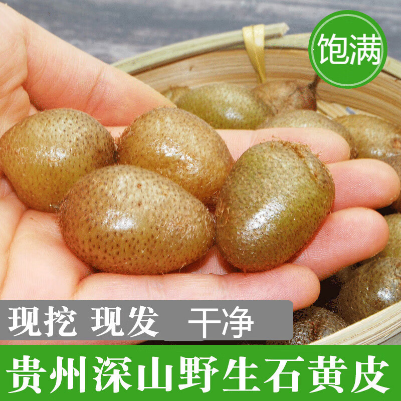 贵州野生石黄皮肾蕨果化狗儿凤凰蛋马骝卵新鲜现挖中药材草药 石黄皮