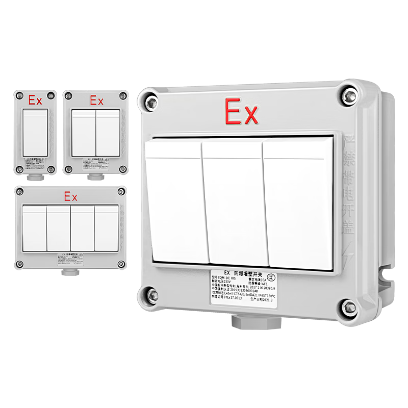 SD'ZM �������� ExdeIICT6Gb ����ǽ�ڿ��� 220V10A ���� 85Ԫ