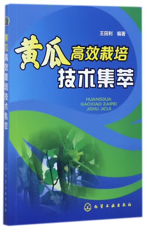 黄瓜高效栽培技术集萃