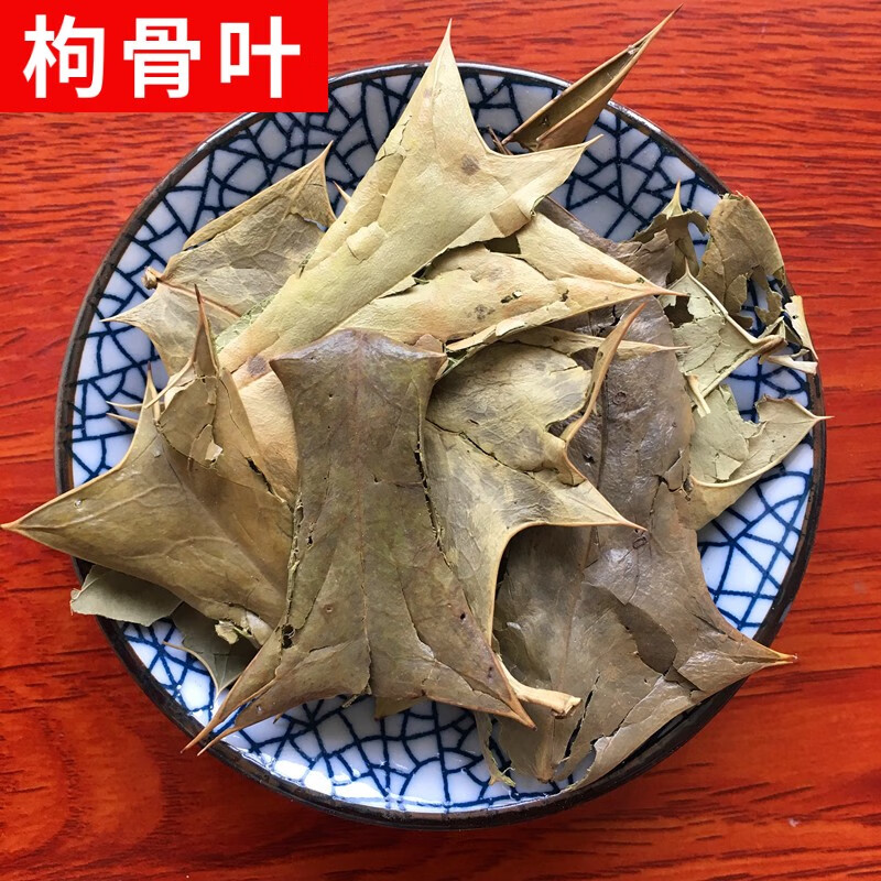 贺诚堂中药材枸骨叶500克干新货猫儿刺八角刺十大功劳叶