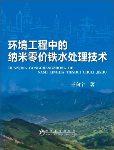 环境工程中的纳米零价铁水处理技术 环境科学 王向宇 著 新华正版