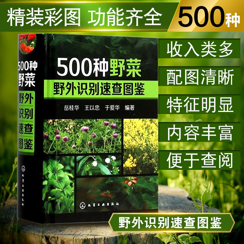 500种野菜野外识别速查图鉴 植物识别特征参考 野生蔬菜鉴别教程 野菜栽培种植技术大全 野菜品种识别方法技巧中国的野菜介绍