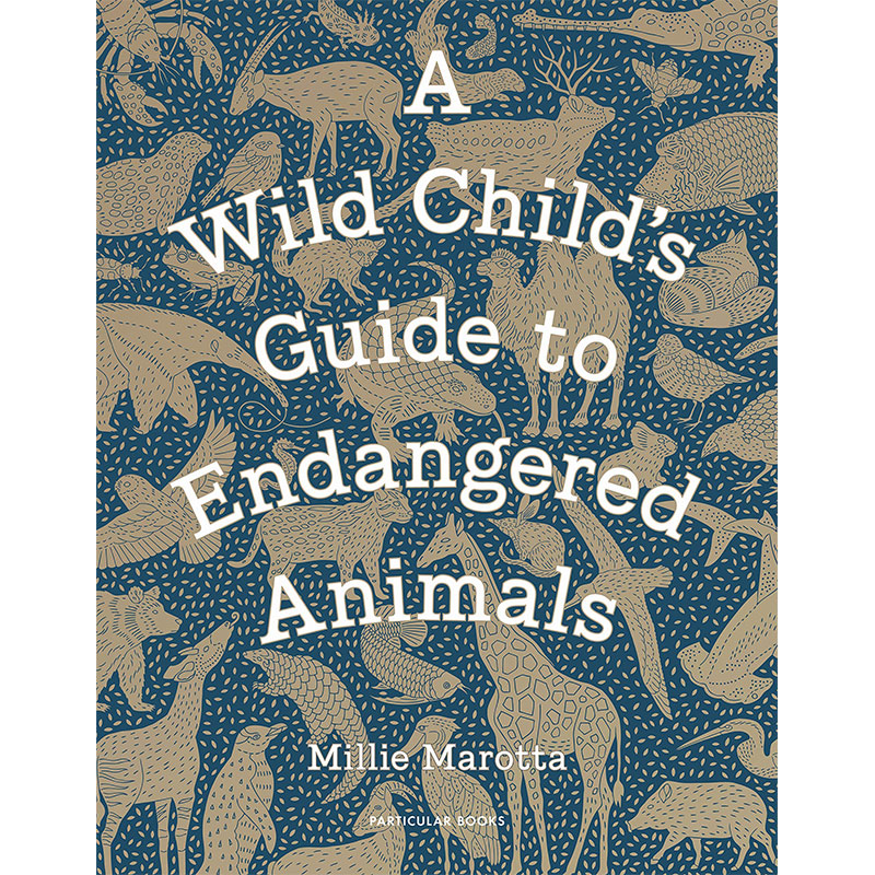 【中图英文】wild childs guide to endangered animals 野生动物
