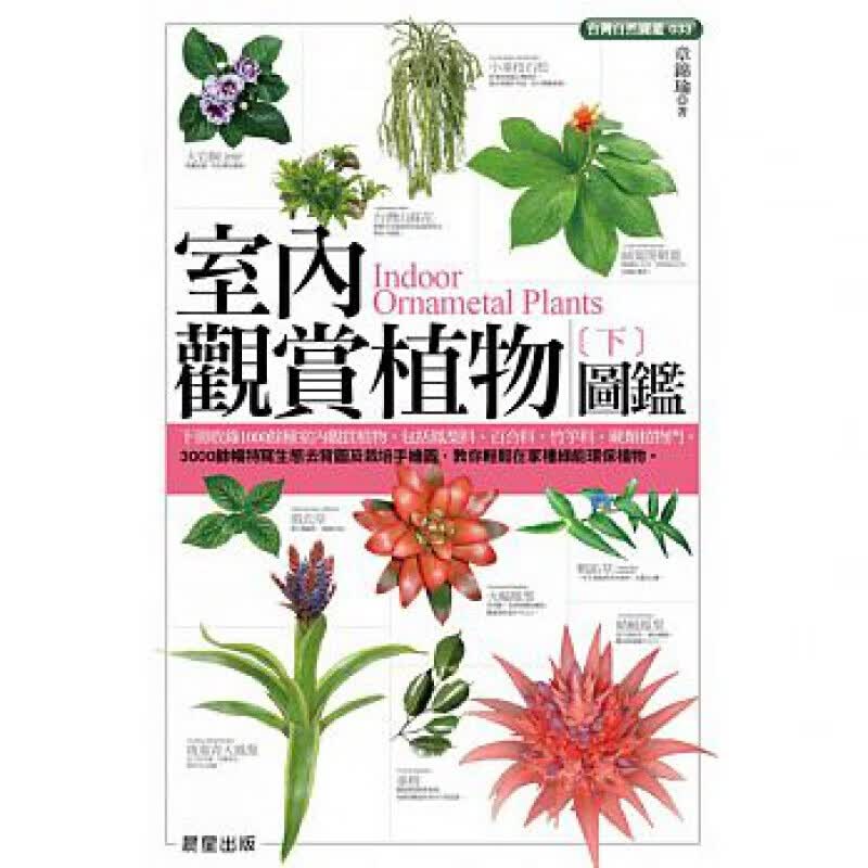 预订台版 室内观赏植物图鉴（下）凤梨科百合科竹竽科蕨类植物门570种室内观赏植物