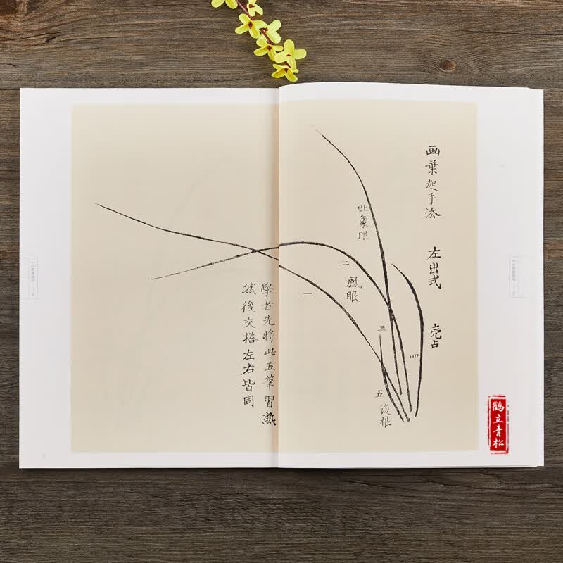 正版 十竹斋书画谱 兰谱 经典国画临摹范本名家水墨兰花画集初学国画